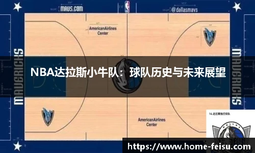 NBA达拉斯小牛队：球队历史与未来展望