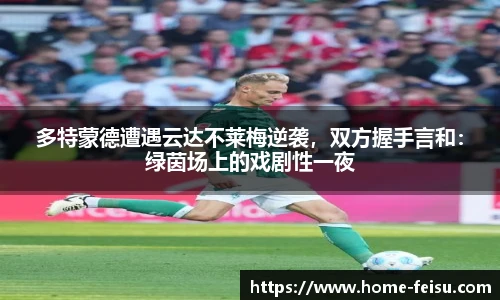 多特蒙德遭遇云达不莱梅逆袭，双方握手言和：绿茵场上的戏剧性一夜