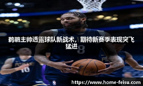 鹈鹕主帅透露球队新战术，期待新赛季表现突飞猛进
