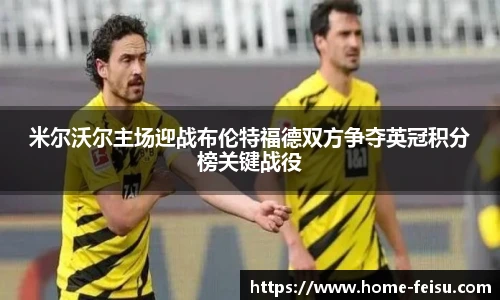 米尔沃尔主场迎战布伦特福德双方争夺英冠积分榜关键战役