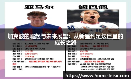 飞速高清直播